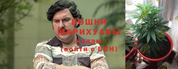 mdpv Богородицк