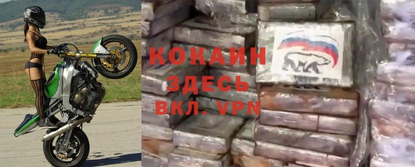 мяу мяу мука Богданович