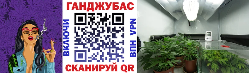 kraken ТОР  наркотики  Саяногорск  Бошки марихуана Amnesia 